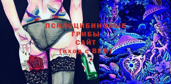 меф Медногорск