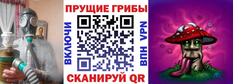 Галлюциногенные грибы Magic Shrooms  купить наркотик  Эртиль 